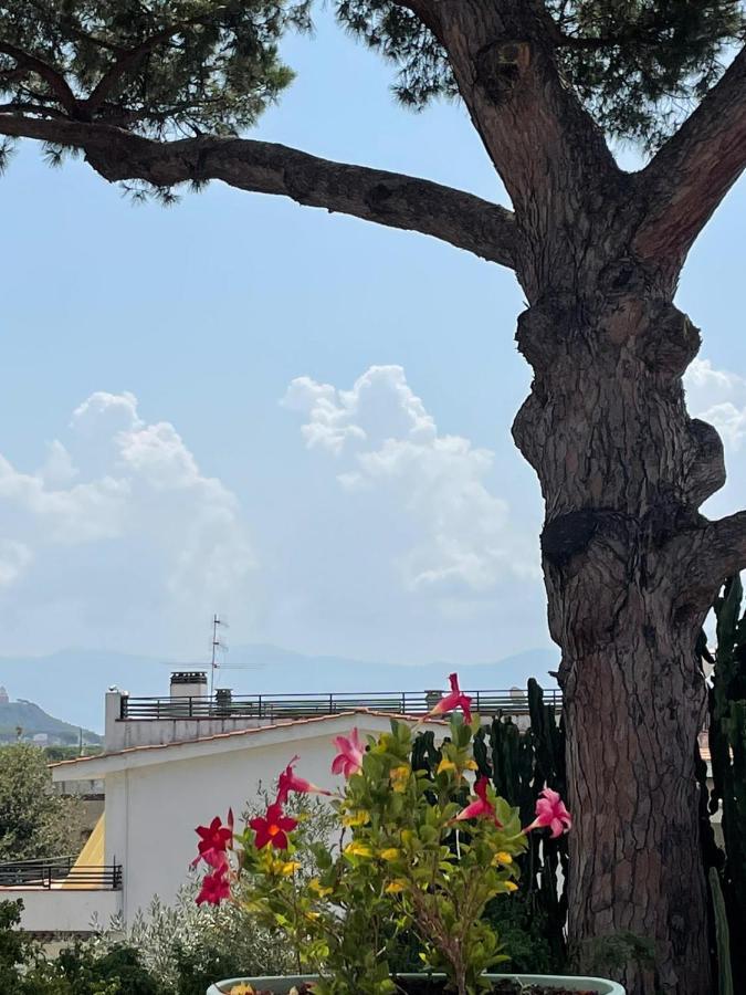 Hotel Boutique La Merveille Torre del Greco